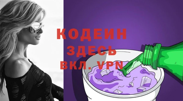 индика Богородицк