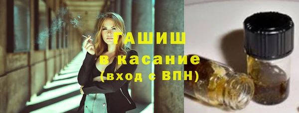 индика Богородицк