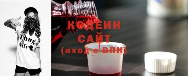 гашик Белокуриха
