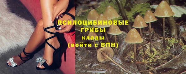 гашик Белокуриха