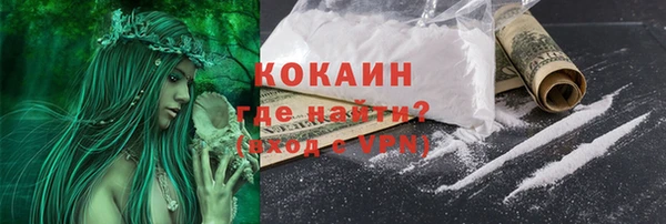гашик Белокуриха