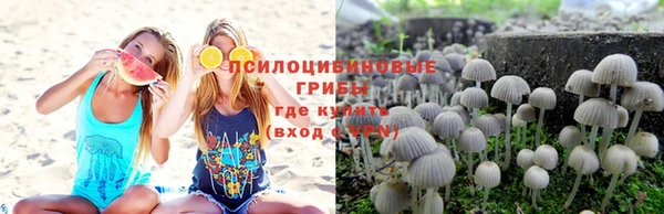 индика Богородицк